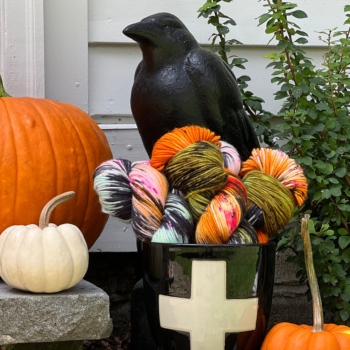 Oh My Gourd!