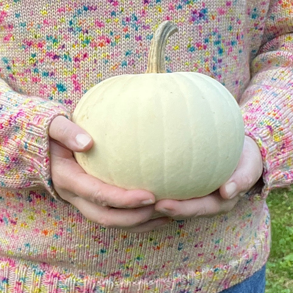 My Rhinebeck Sweater